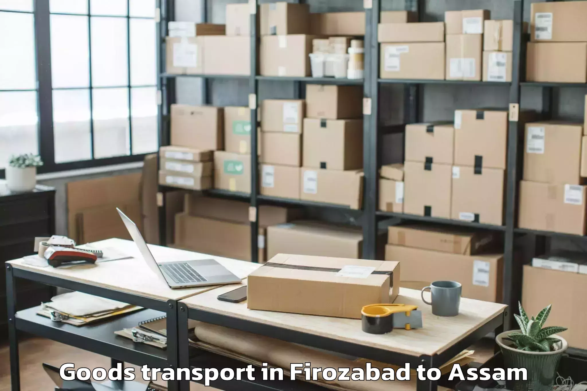 Professional Firozabad to Gossaigaon Pt Goods Transport